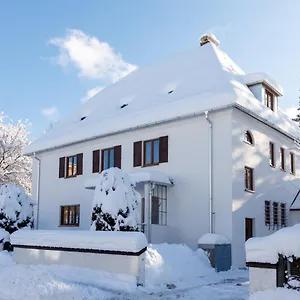  Appartement Stadtvilla Falkenstein